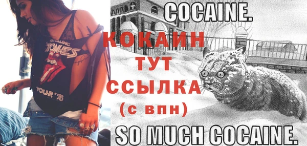 прущие крисы Верея