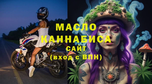 твердый Верхний Тагил