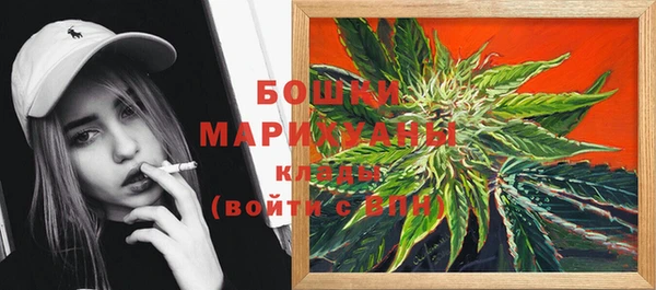 прущие крисы Верея