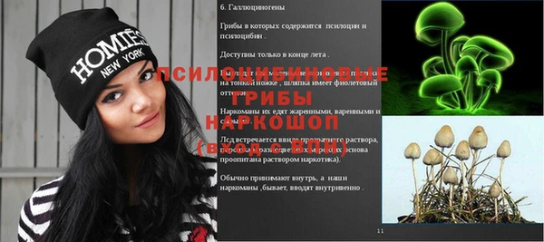 твердый Верхний Тагил
